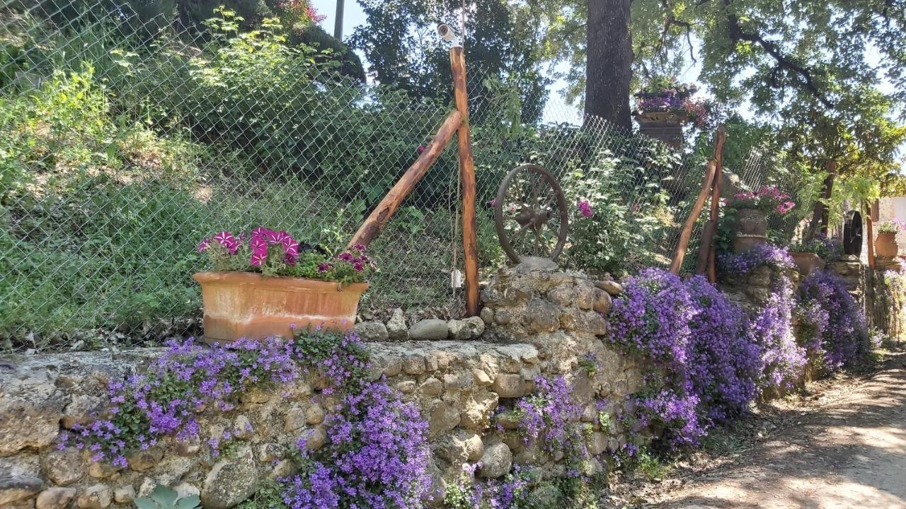 La Limonaia Country House Monteriggioni Εξωτερικό φωτογραφία